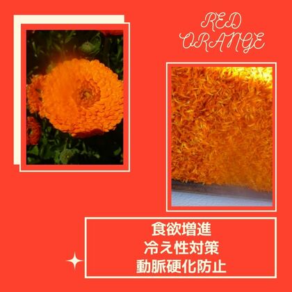 【色の効果🌈✨】レッドオレンジ