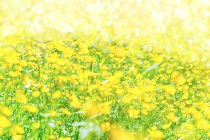みんなちがってみんなだいすき！セミナーで自己理解と人間関係の改善を目指そう