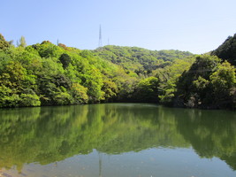 Ｈｅｒｂ・Ｒｏｏｍ　ｌｅａｆイベント出店童学寺いろは市ブースの後ろの背景