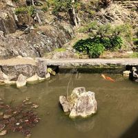いろは市開催場所石井町童学寺さんの庭園もきれい