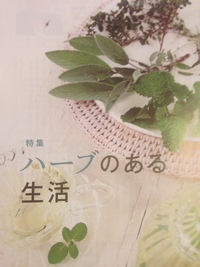練り石けん出張イベントありがとうございました