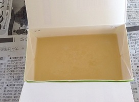 初心者でもできるか不安でしたが、丁寧に教えてくださいました