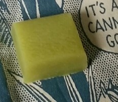 Ｈｅｒｂ・Ｒｏｏｍ　ｌｅａｆ主宰松下　美穂出張レッスンほうれん草石けんの講習会カットして送ってくれました