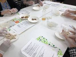 Ｈｅｒｂ・Ｒｏｏｍ　ｌｅａｆ出張レッスン某小学校ＰＴＡ文化部の集まりで、練り石けんで作る「ハーブ石けん」