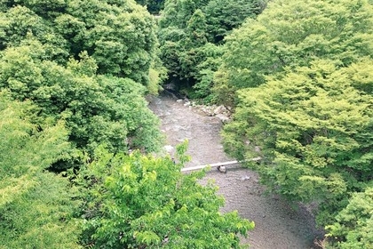 私たちにできること 命への感謝 その恵み
