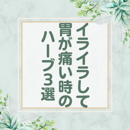 イライラして胃が痛い時のハーブ3選