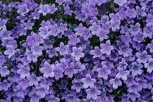 疲れている時に惹かれる色とは？