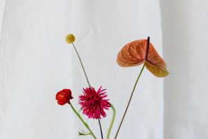 気になる色は心からのサイン